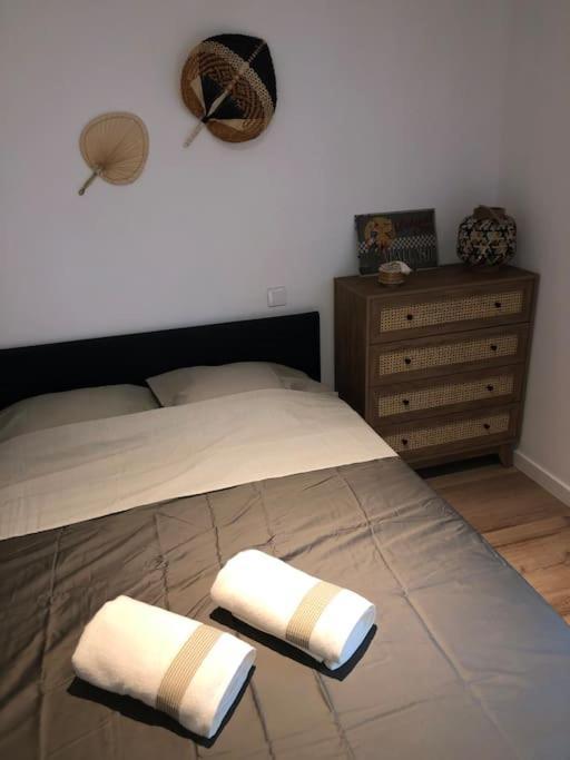 Appartement Cosy-Grand Stade Villeneuve D'Ascq Lezennes Esterno foto