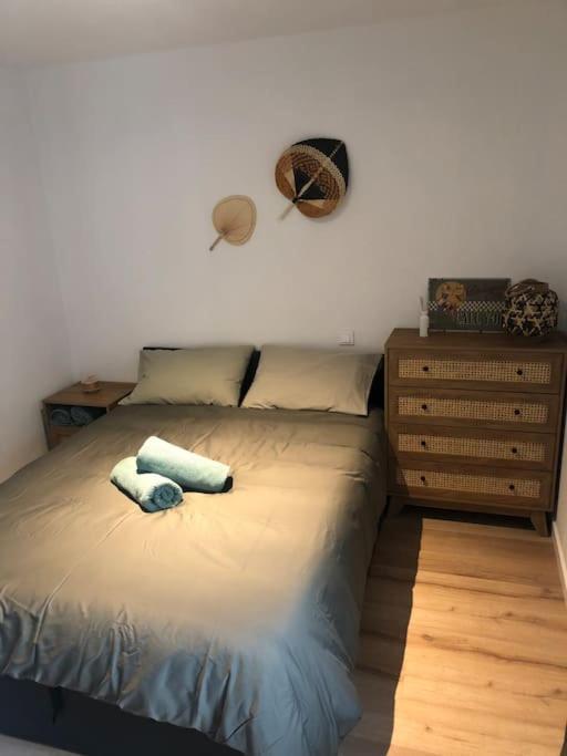 Appartement Cosy-Grand Stade Villeneuve D'Ascq Lezennes Esterno foto